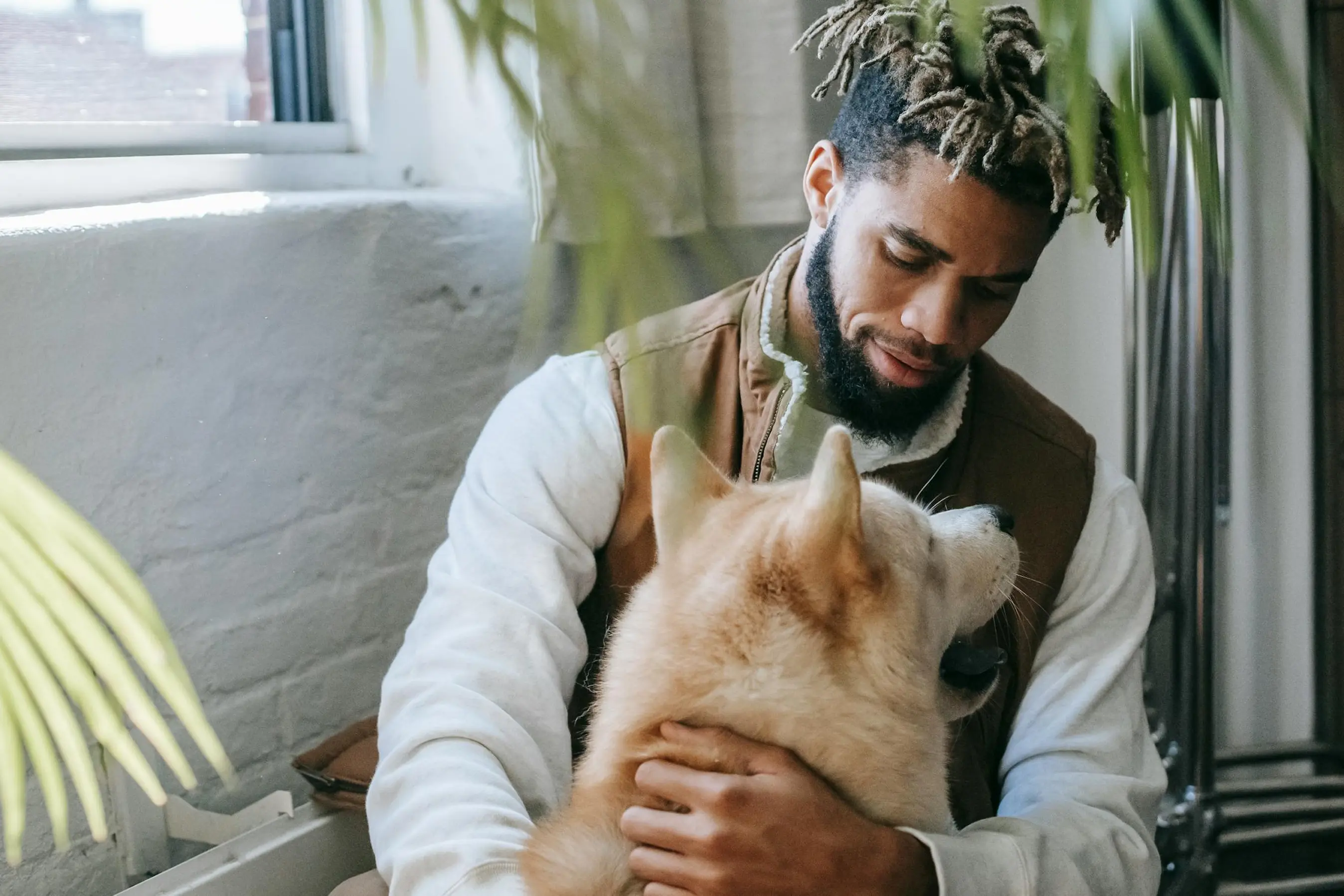 Contact us to become a sitter!